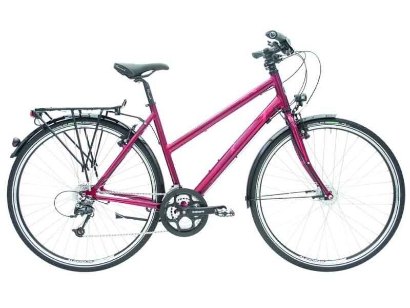 Maxcycles Traffix Rohloff Evo 1