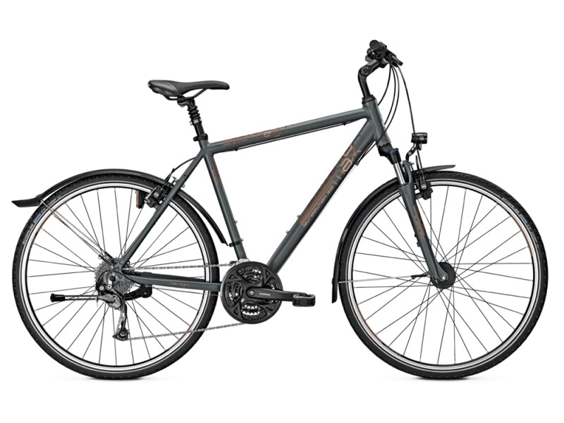 Raleigh STREETMAX 2.0