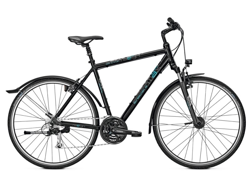 Raleigh STREETMAX 1.0