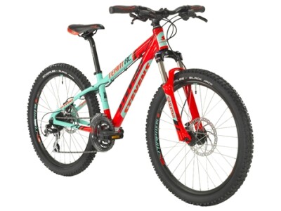 Stevens Team RC 24”