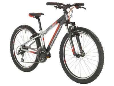 Stevens Team M 24”