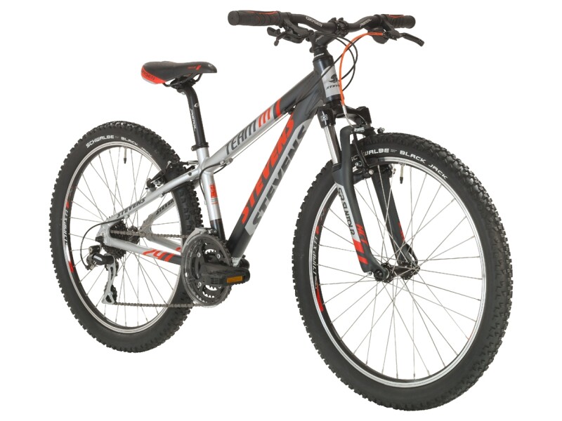 Stevens Team M 24”