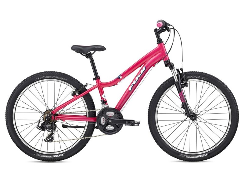 Fuji Dynamite 24 Comp G