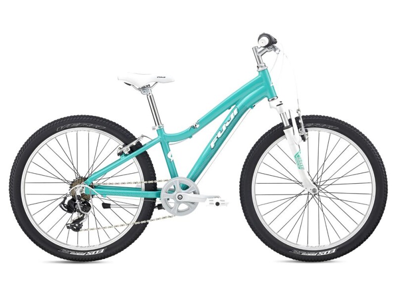 Fuji Dynamite 24 Comp B