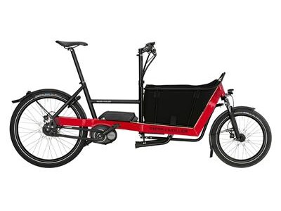 Riese und Müller Packster 40