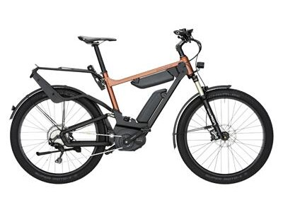 Riese und Müller DELITE-GT-TOURING