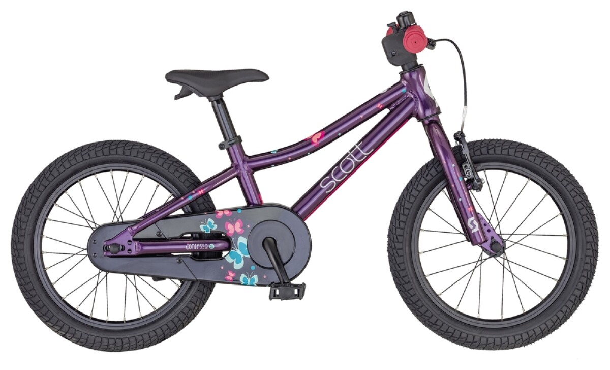 Scott Contessa 16 Details