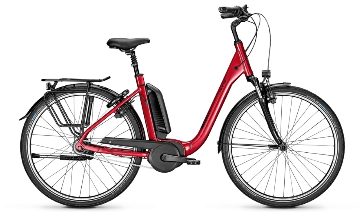Raleigh KINGSTON 8 Comfort red Details