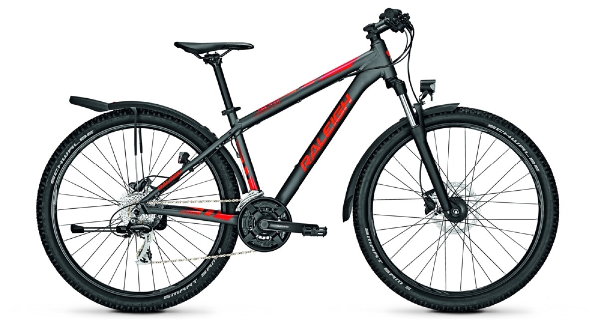 Raleigh DAYMAX Details