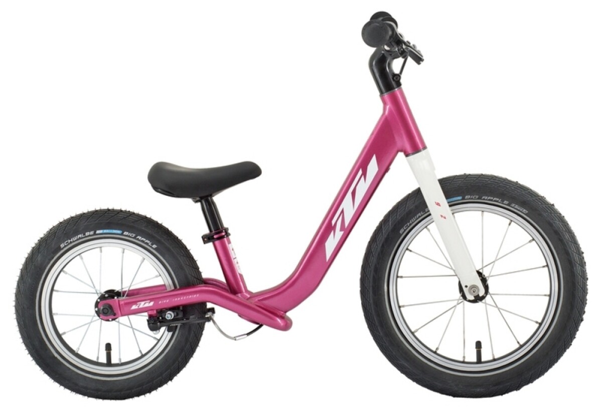 KTM WILD BUDDY Details