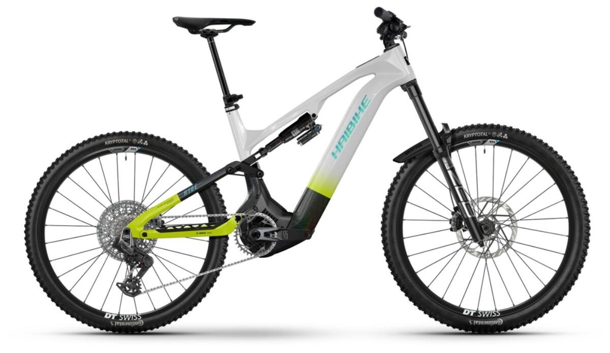 Haibike HYBE CF 11 Details