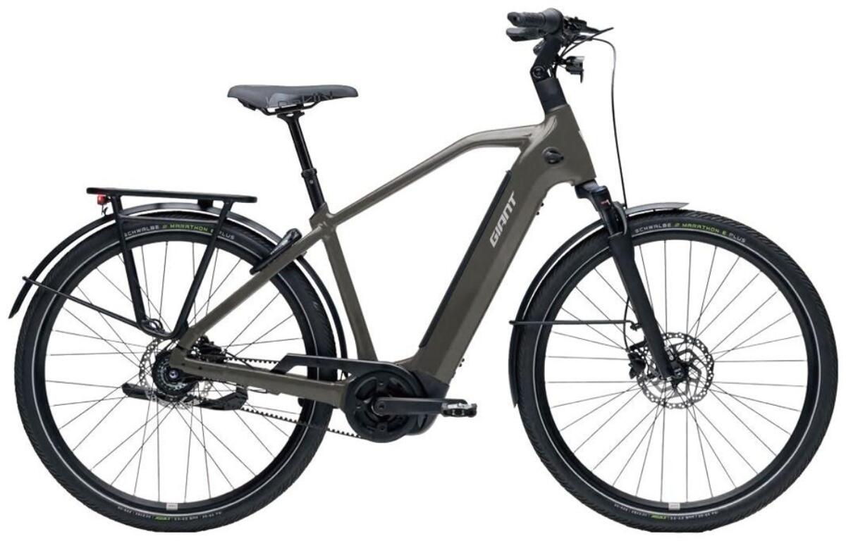 GIANT AnyTour E+ 3 DD Details