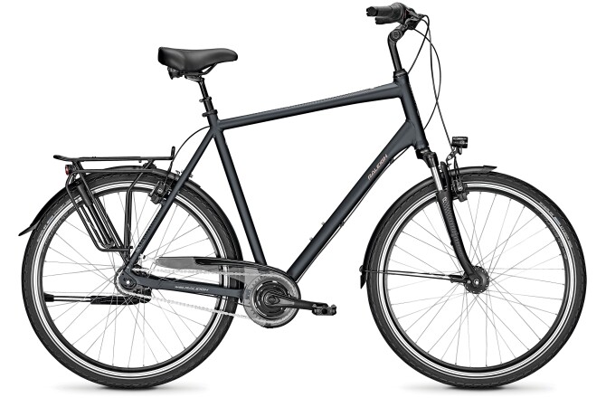 Raleigh CHESTER 8 XXL