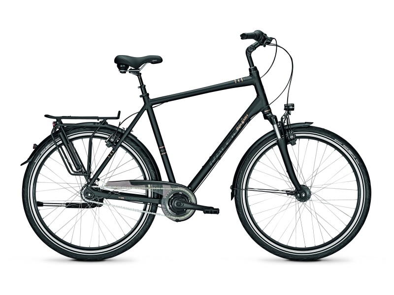 Raleigh CHESTER 8 XXL