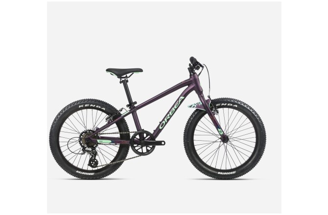 Orbea MX 20 DIRT