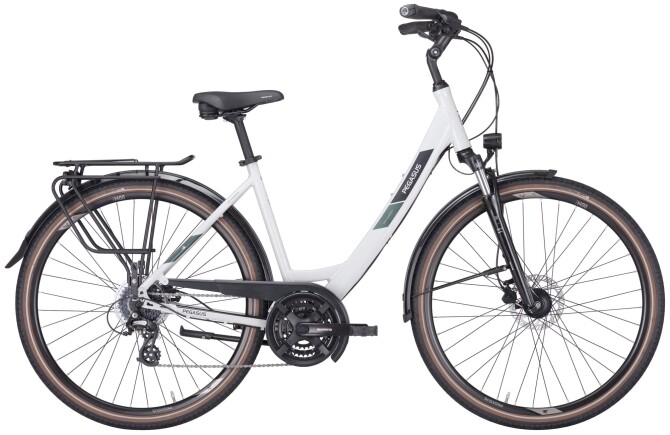 Pegasus Solero SL Disc 24
