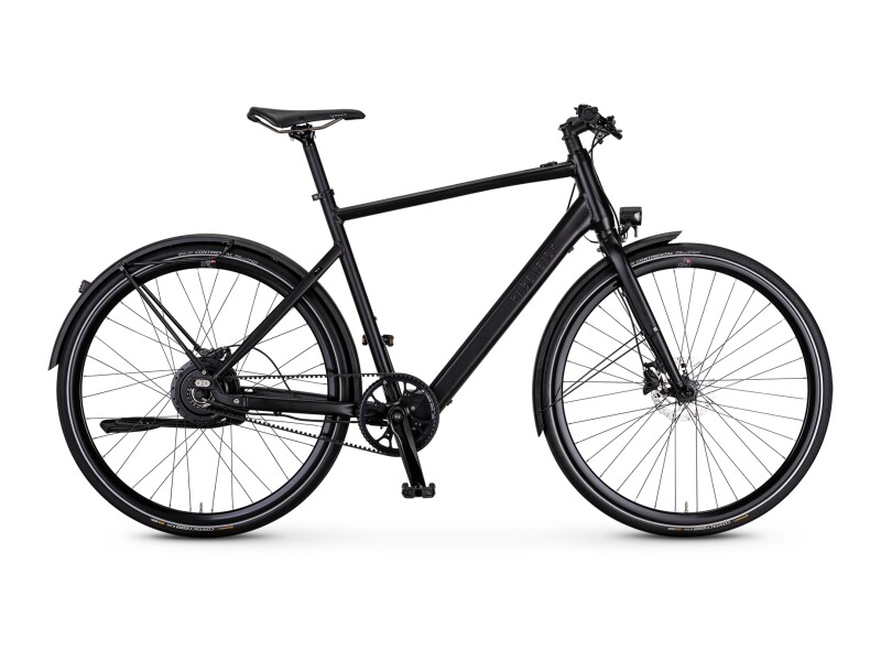 Rabeneick TX-E Singlespeed / Bafang / 252Wh / Disc / Gates