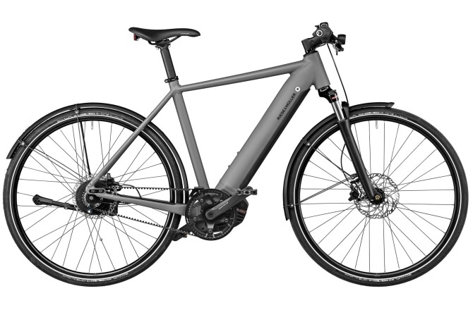 Riese und Müller Roadster vario grey