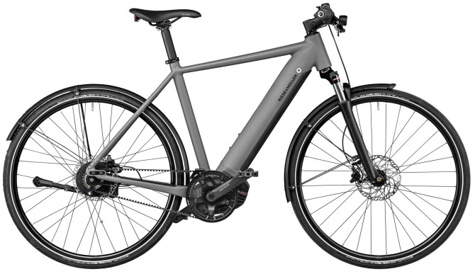 Riese und Müller Roadster vario grey