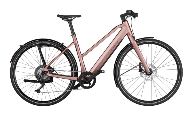 Riese und Müller UBN Seven touring rose