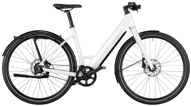 Riese und Müller UBN Six silent Testbike white