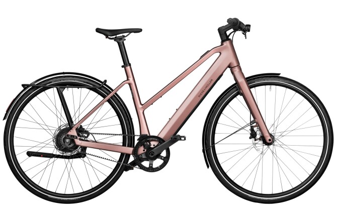 Riese und Müller UBN Seven vario Testbike rose