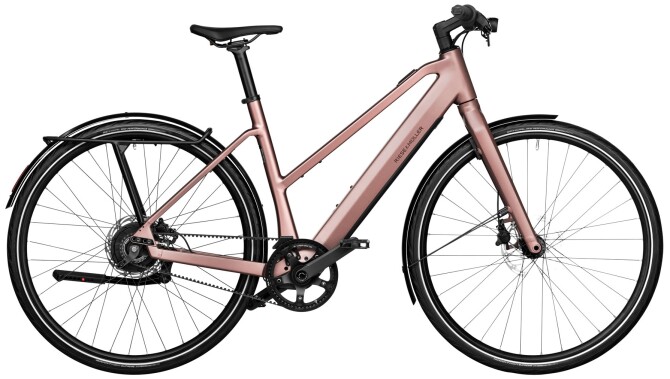 Riese und Müller UBN Seven vario Testbike rose