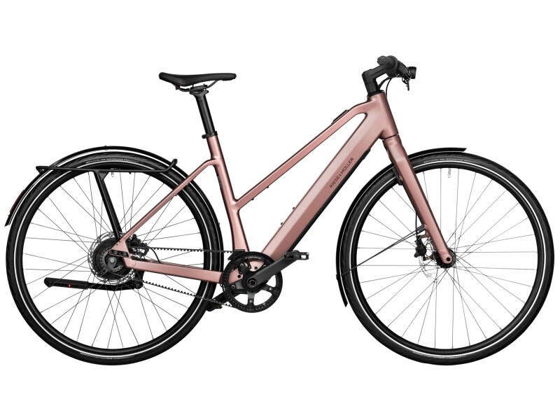 Riese und Müller UBN Seven vario Testbike rose