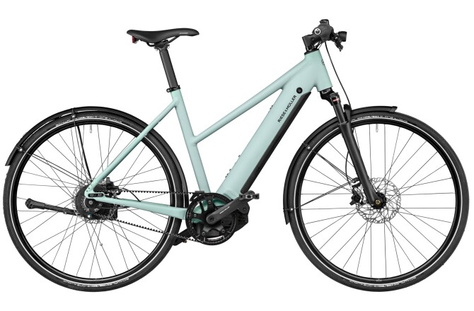 Riese und Müller Roadster4 Mixte vario salvia