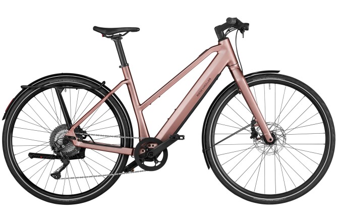 Riese und Müller UBN Seven touring rose