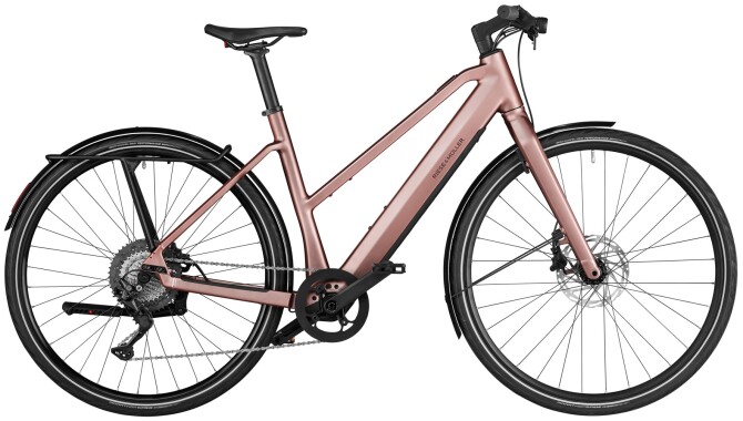 Riese und Müller UBN Seven touring rose