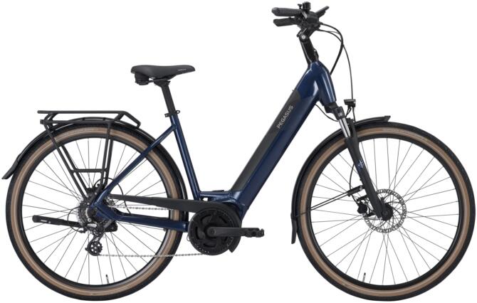 PEGASUS SOLERO EVO 8 indogo Wave