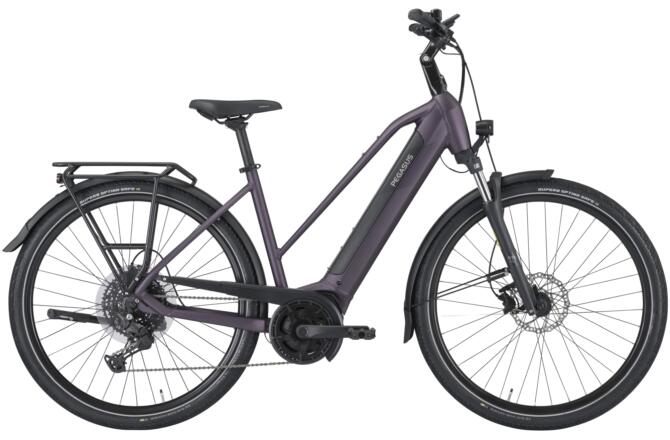 PEGASUS SOLERO EVO 10 purple Trapez