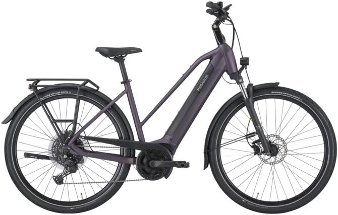 PEGASUS SOLERO EVO 10 purple Trapez