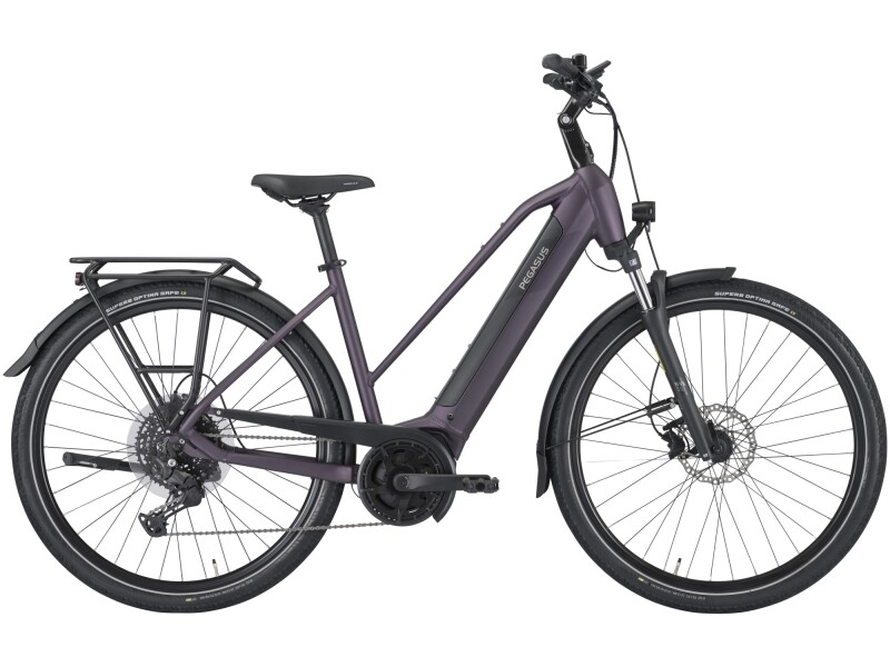 PEGASUS SOLERO EVO 10 purple Trapez