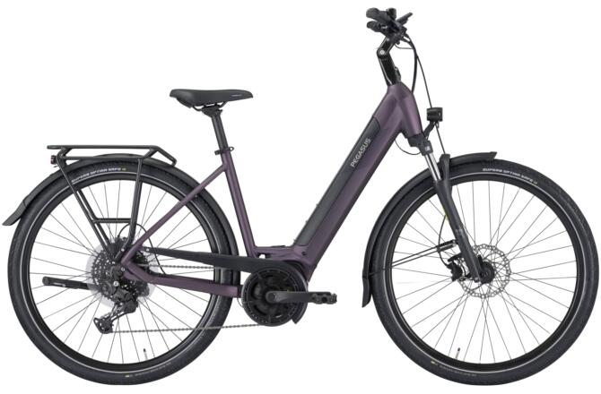 PEGASUS SOLERO EVO 10 purple Wave