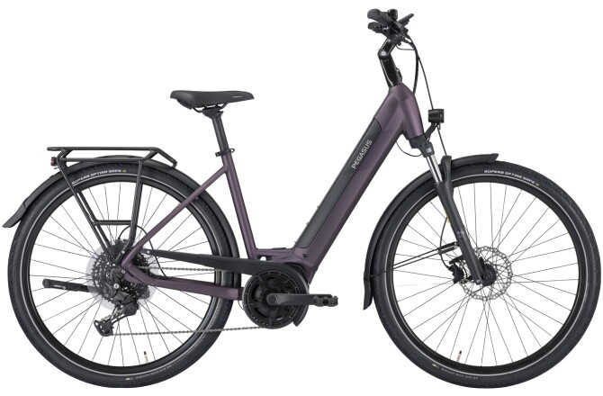 Pegasus SOLERO EVO 10 purple Wave