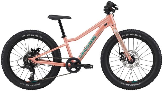 Cannondale Kids Trail Plus 20