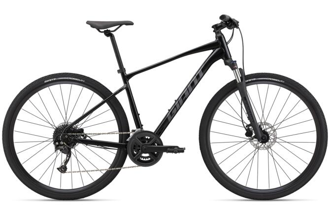 GIANT Roam 2