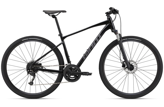 GIANT Roam 2