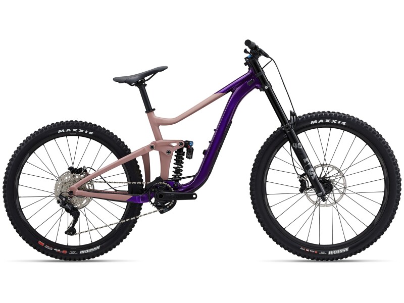 GIANT Reign SX | V1