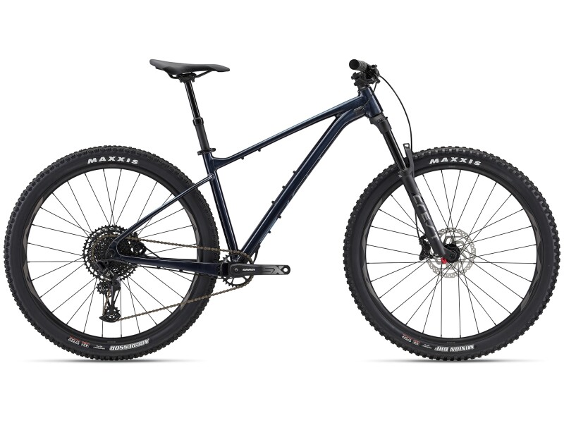GIANT Fathom 29 1