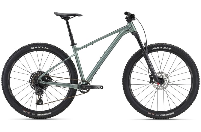 GIANT Fathom 29 1