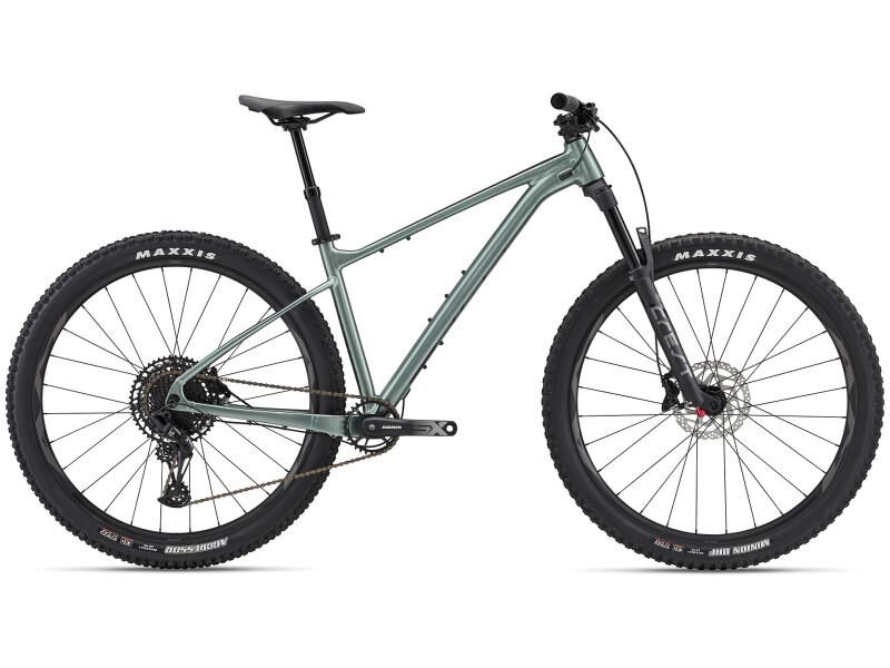 GIANT Fathom 29 1