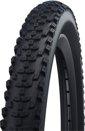 Schwalbe Smart Sam | Performance Line | DD, RaceGuard