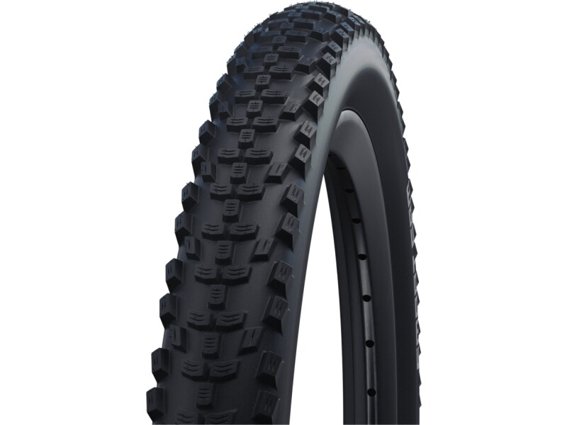 Schwalbe Smart Sam | Performance Line | DD, RaceGuard