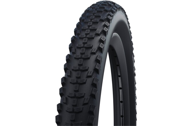 Schwalbe Smart Sam | Performance Line | RaceGuard