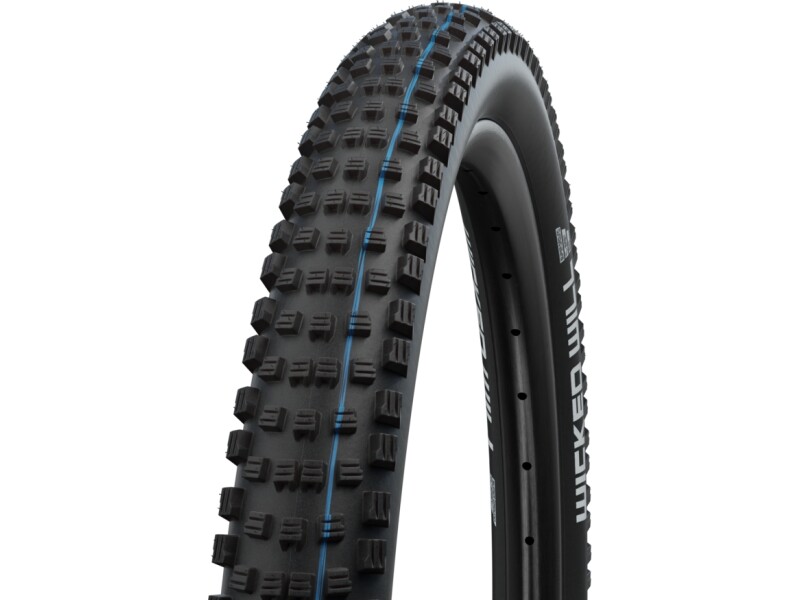 Schwalbe Wicked Will | Evolution Line | Super Ground