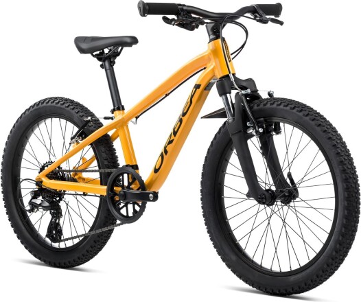 Orbea MX 20 XC