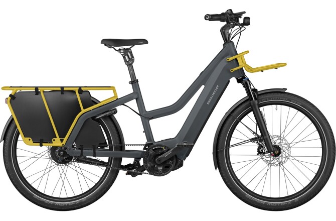 Riese und Müller Multicharger2 Mixte GT vario grey/curry
